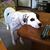 Rebecca Osborn's profile image