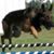 Jolie Moody's profile image