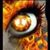 Lisa Clement Plunkett's profile image