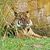 Kathy Scott's profile image