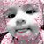 Casey Stone's profile image