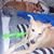 Lynne Hendricks's profile image