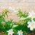 Linda Crews's profile image