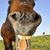 Stewart Zilberberg's profile image