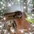 Margaret Morandi's profile image