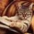 Jennifer J-Dub White's profile image