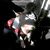 Amy Hutchins Quezada's profile image