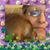 Tammy Sams's profile image
