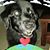 Larry Richards's profile image