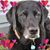 Diane Loher's profile image
