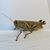 Mike Siebert's profile image