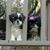 Lisa Shaffer's profile image