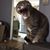 Janet Bricker's profile image