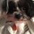Barbara Warren Sawhill's profile image