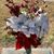 Shawna Gilbert-Thompson's profile image