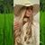 Julia Mraovic's profile image