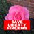 Suzanne George's profile image