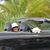 Georgianne Nienaber's profile image