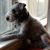 Sharai Manuel Hagerty's profile image