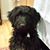 Michelle Willyard's profile image