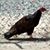 Alan Dailey's profile image