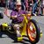 Steve Behe's profile image