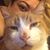 Cindy A Hazlett's profile image