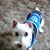 Randala Kinley's profile image
