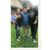 Gerri Ramos's profile image