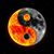 Scott Kidwell's profile image