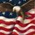 Dan Boswell's profile image