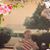 Jesse Gallegos Sr.'s profile image