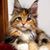 Sharle Kircher Chiles's profile image