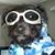 Harley Weiss's profile image