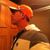 Jose Alvertoa Arevalo Benitez's profile image