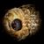 Wendy Tousley Fisher's profile image