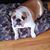Sandi Ramundo's profile image