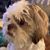 Sandy Reznick's profile image