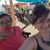 Donna Wescott's profile image