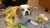 Chris A.'s profile image