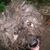 Ron Burgess's profile image
