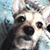Linda Mor's profile image