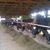 Babcock Farms's profile image