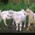 Jim Dede's profile image