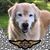Lisa Lewis Ducher's profile image