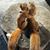 Loyal Phillips-Kuhn's profile image