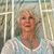 Nancy Bradshaw's profile image