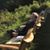 Bill McGinnis's profile image