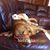 Jeff Schiebur's profile image