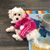 Diane Driscoll Wike's profile image